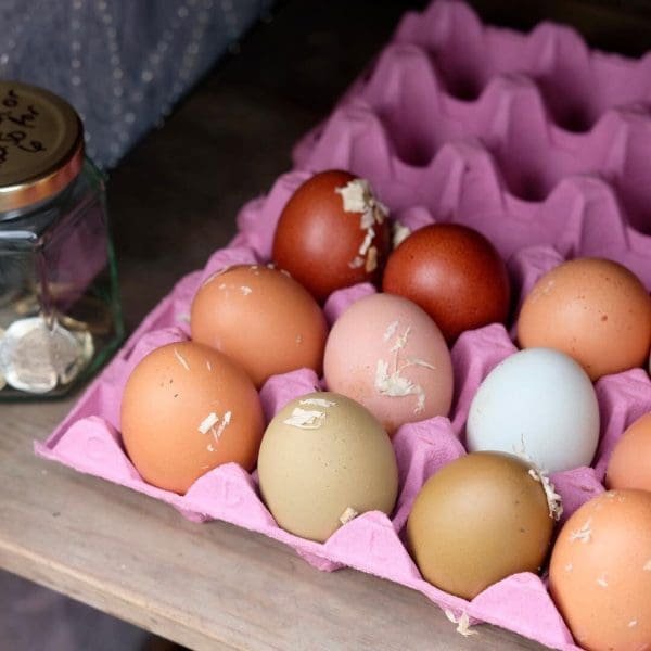 6 Free Range Eggs from our Hens