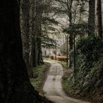A darkened pathway between large thick trees and hedges leading up to one of the cottages in Glen Dye