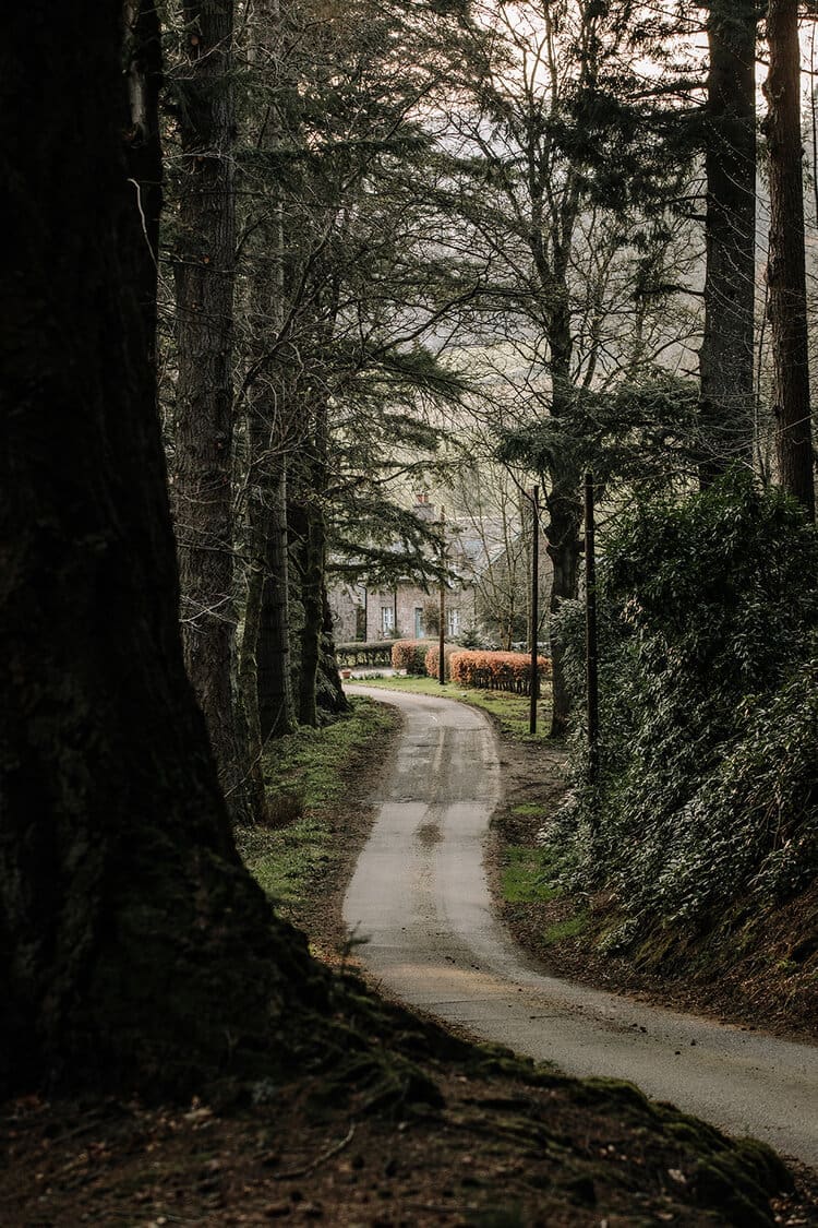 A darkened pathway between large thick trees and hedges leading up to one of the cottages in Glen Dye
