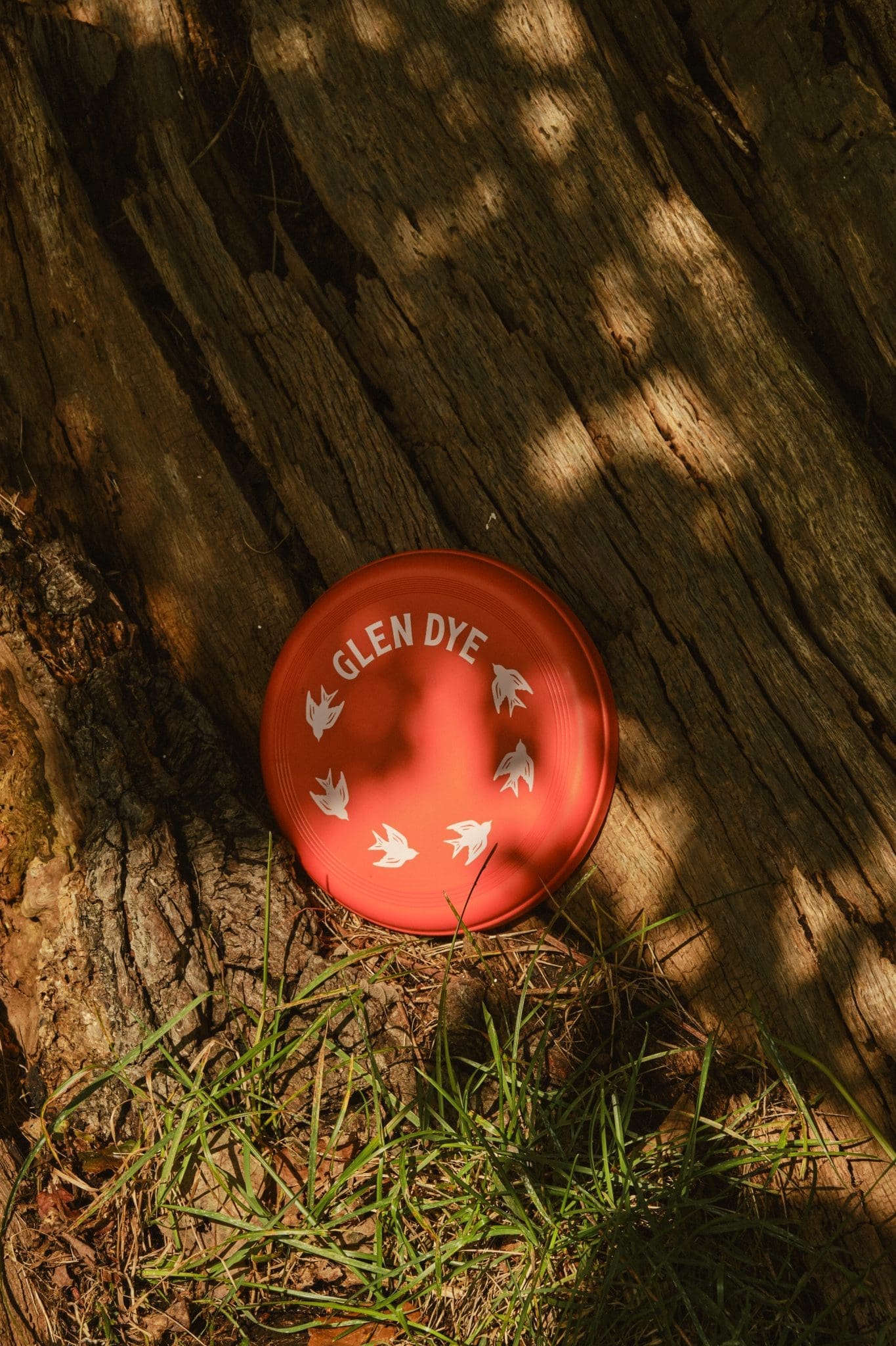 Glen Dye Frisbee - Image 3