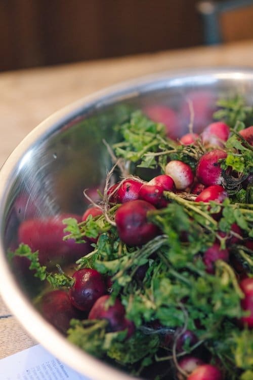 A bowl full of home grown horse radish