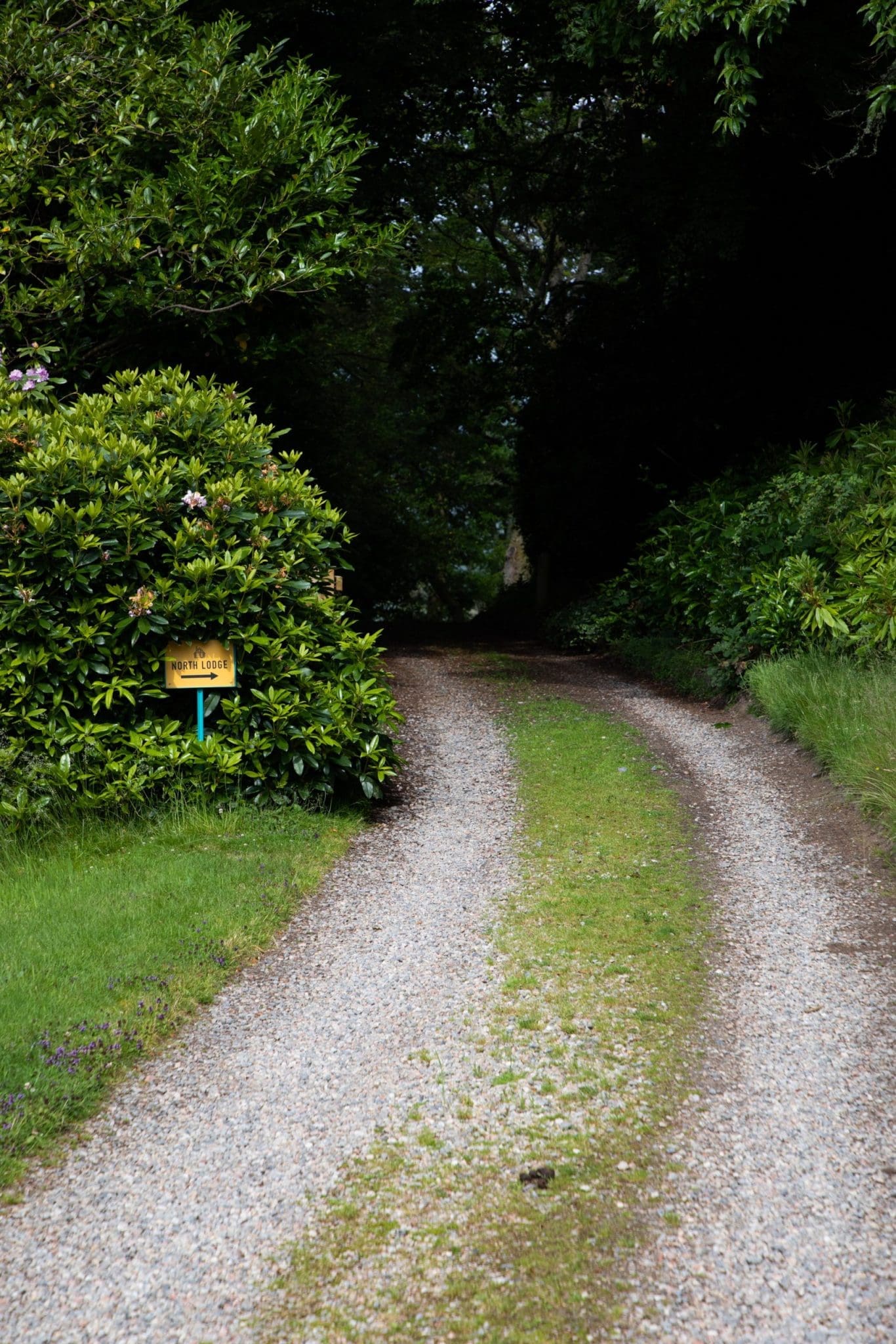 A path with a sign post providing directions to the North Lodge. An image from the North Lodge Cabin collection.