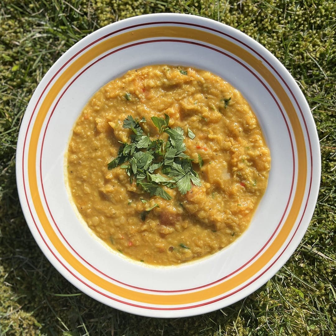 Spiced Butternut Squash and Red Lentil Daal (Vegan) - Serves 2