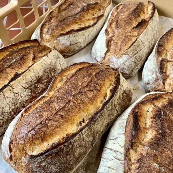 6 loaf's of freshly baked white sourdough bread.