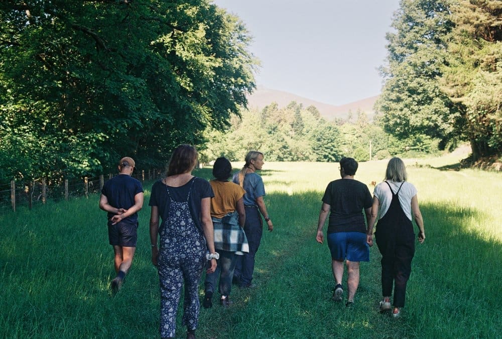 A group of people walking between trees to an opening whilst attending the Taigh music event