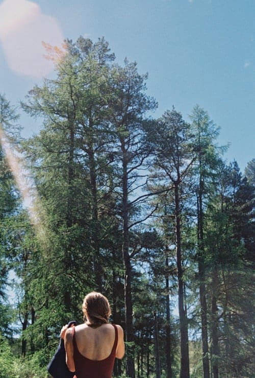 An outdoor image of a women looking out at a row of trees
