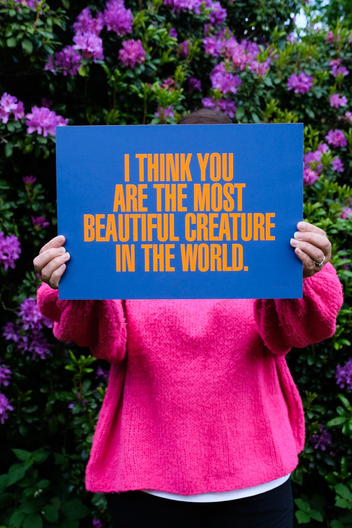 I Think You Are The Most Beautiful Creature In The World by On The Wing - Image 4