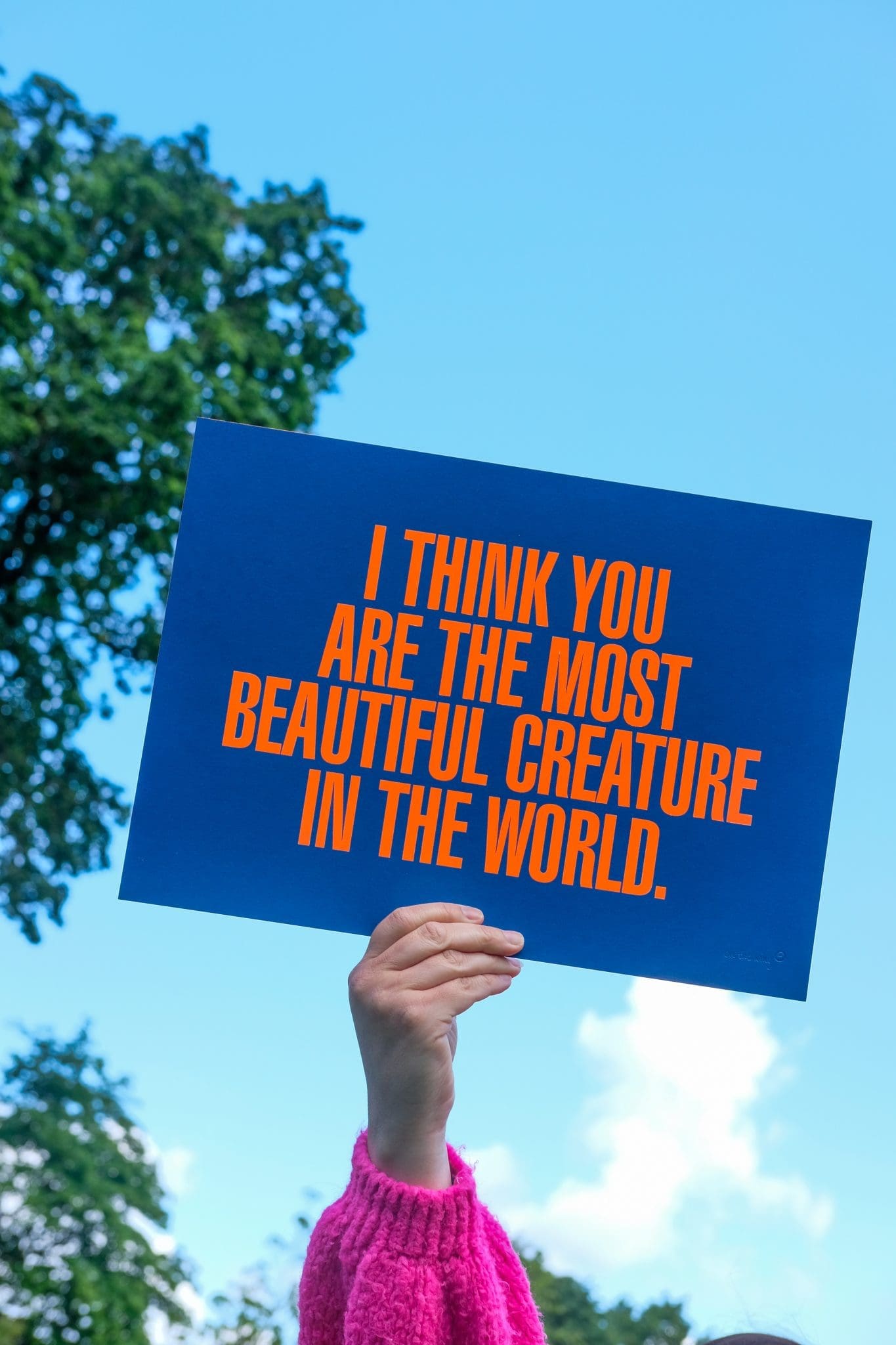 I Think You Are The Most Beautiful Creature In The World by On The Wing - Image 6