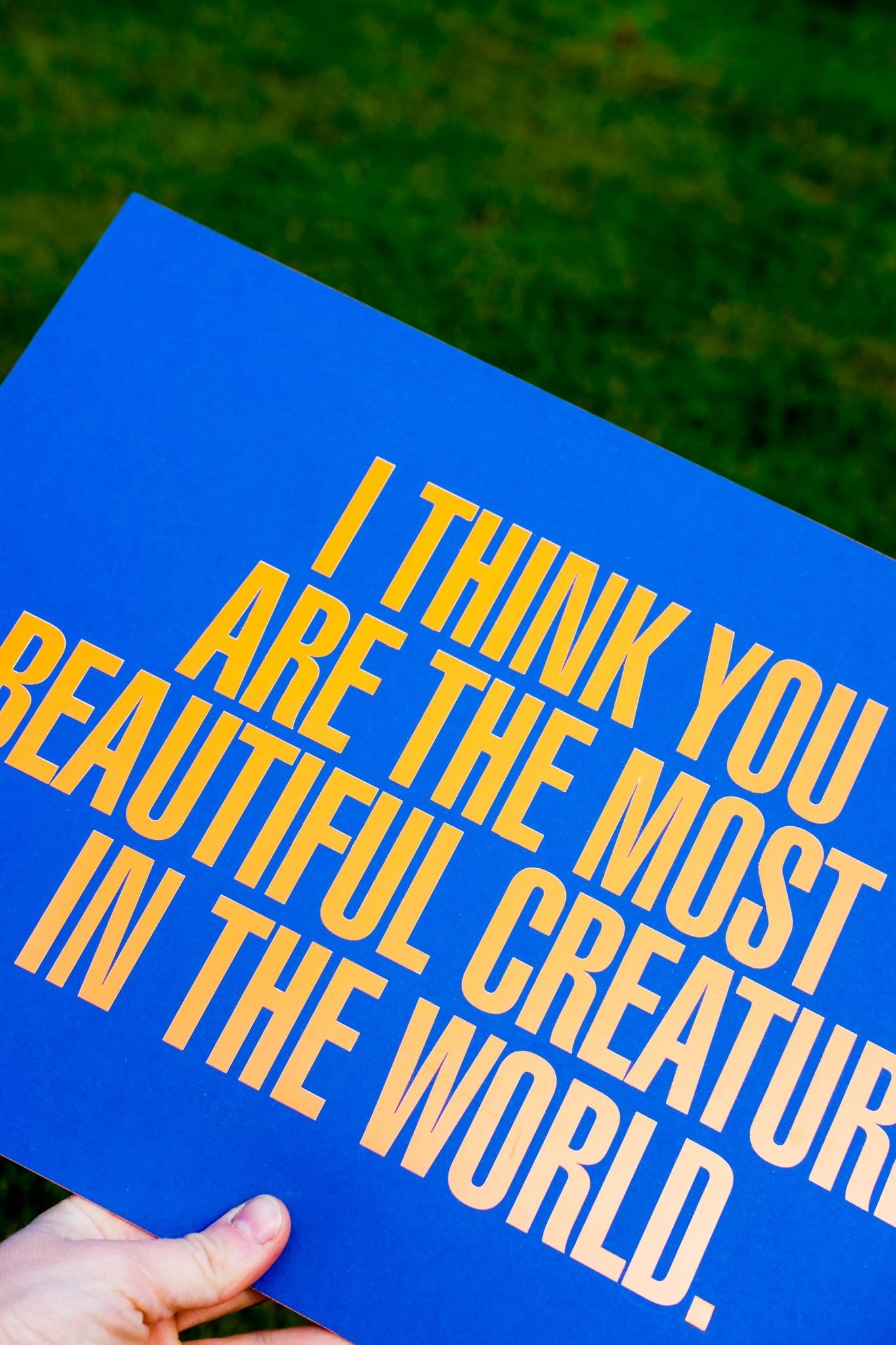 I Think You Are The Most Beautiful Creature In The World by On The Wing - Image 7