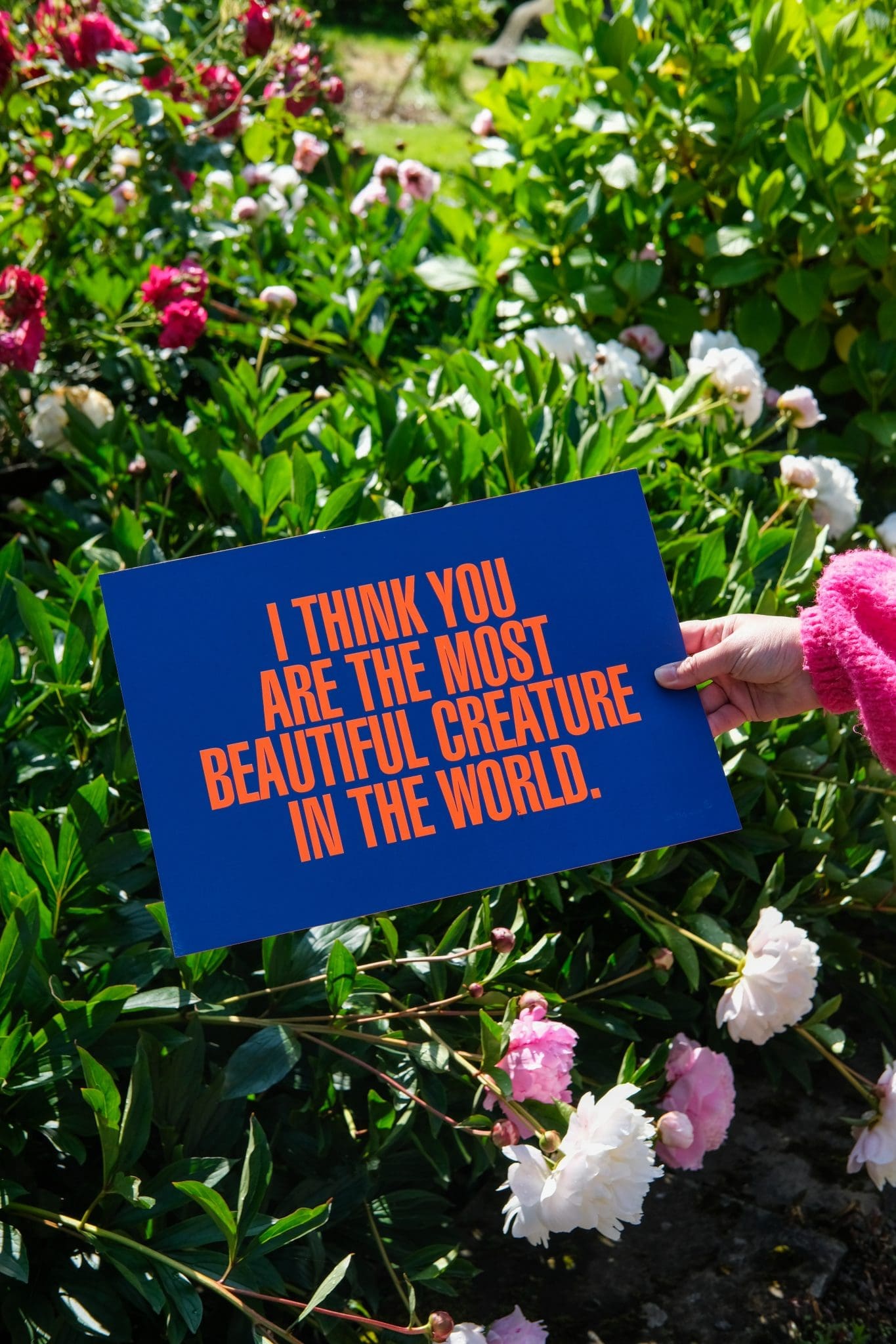 I Think You Are The Most Beautiful Creature In The World by On The Wing - Image 11