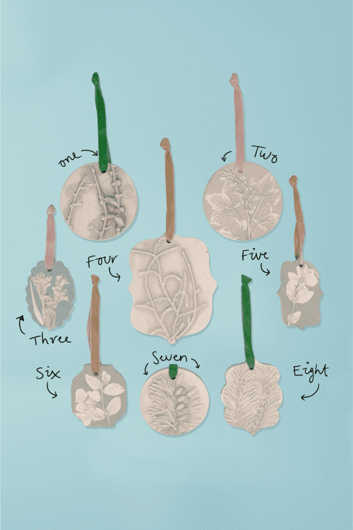 Botanical Imprints by Katie Eccles