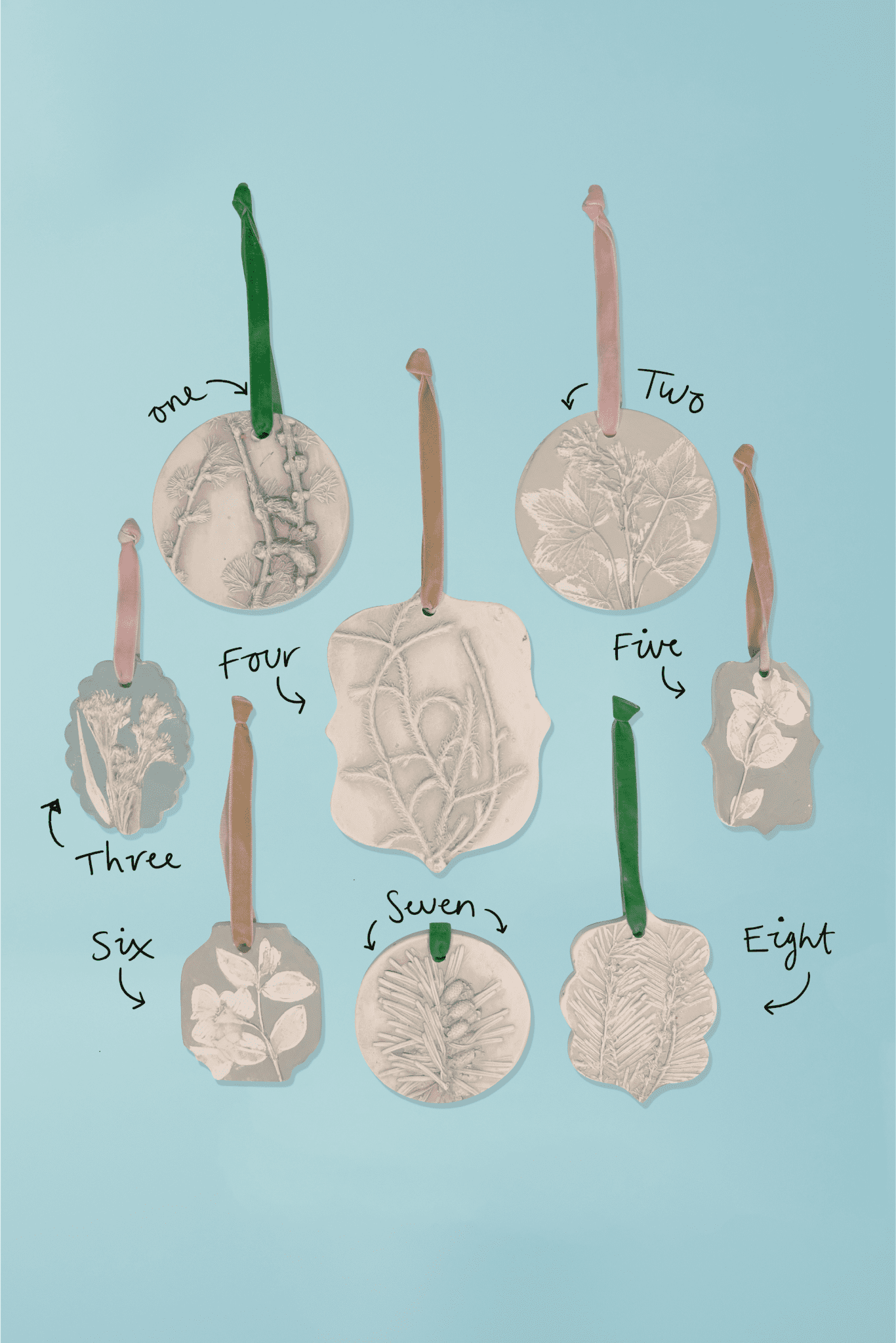 Botanical Imprints by Katie Eccles